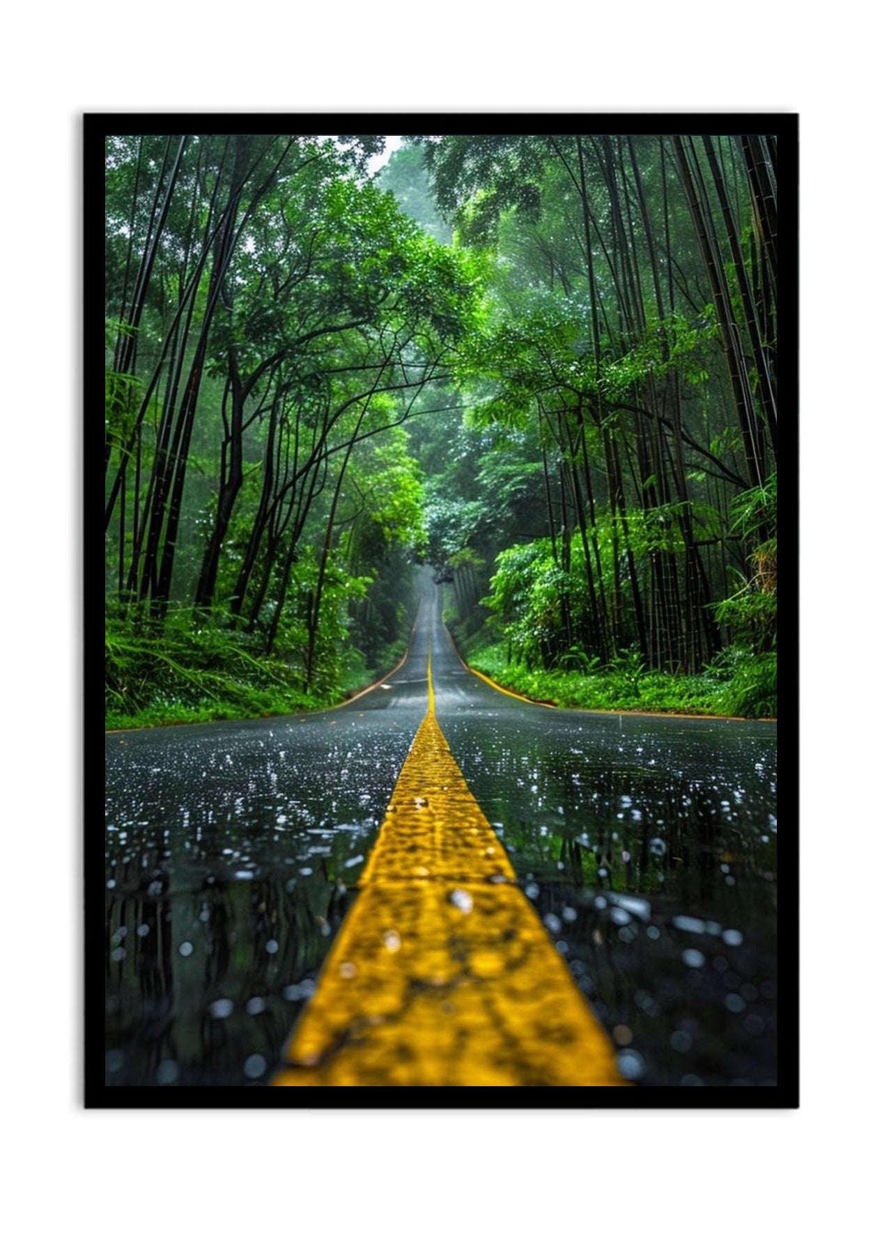 NATURE